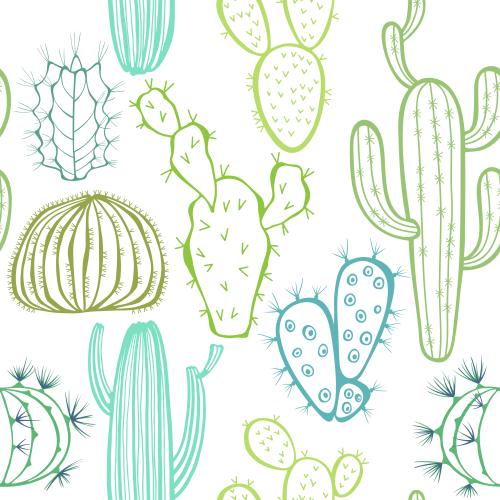 Cactus. Vector various types of cacti in green tones on white