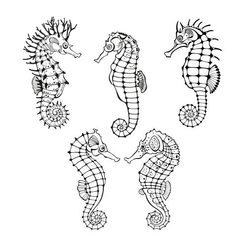 Vector image sea horses, black contours on white, five characters