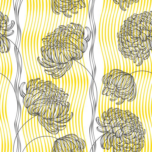 Chrysanthemum. Vector chrysanthemums yellow wavy lines on white