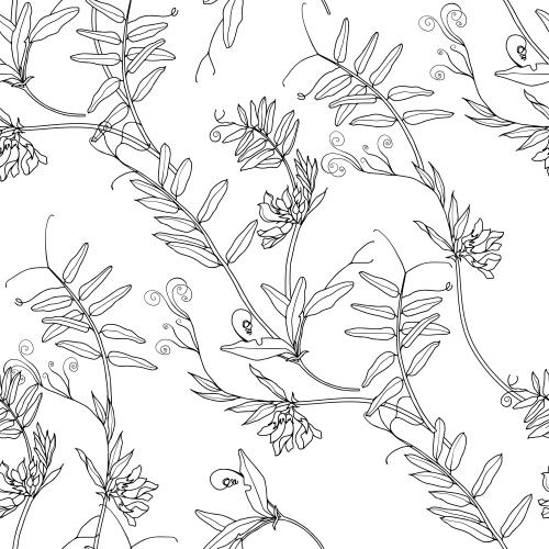 Illustration field flowers contours on white