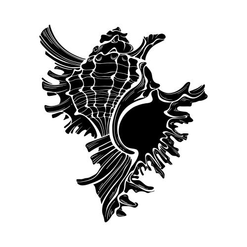 Illustration shell black silhouette on white