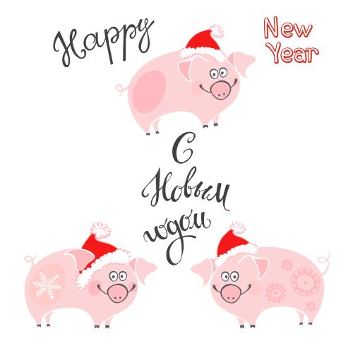 Pig. Vector three cartoon pigs in new year hats message with new year in russian and english