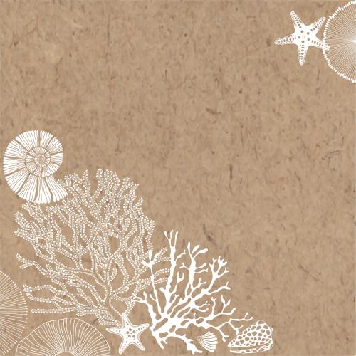 Vector image sea stars shells nautilus corals craft text area corner composition