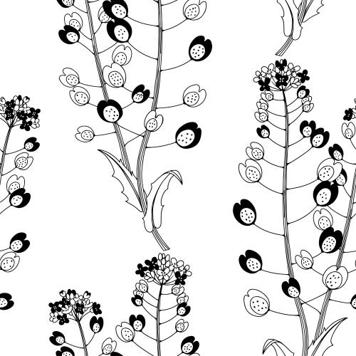 Grass. Vector Pattern decorative meadow flowers on white