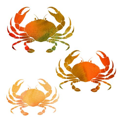 Crab. Vector watercolor crabs on white, three options