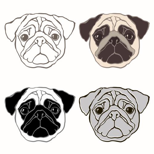 Pug. Vector pugs, four different options on white