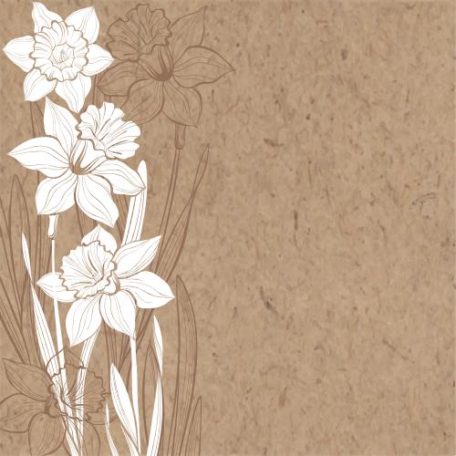 Vector image daffodils white silhouettes and brown outlines space for text on kraft