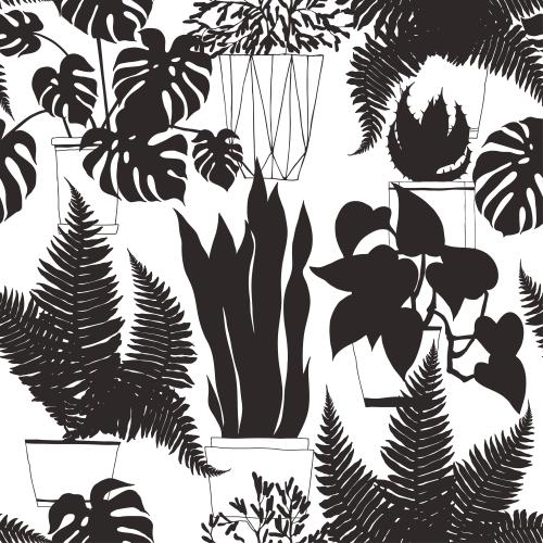Monstera. Vector indoor plants in pots, silhouettes on white