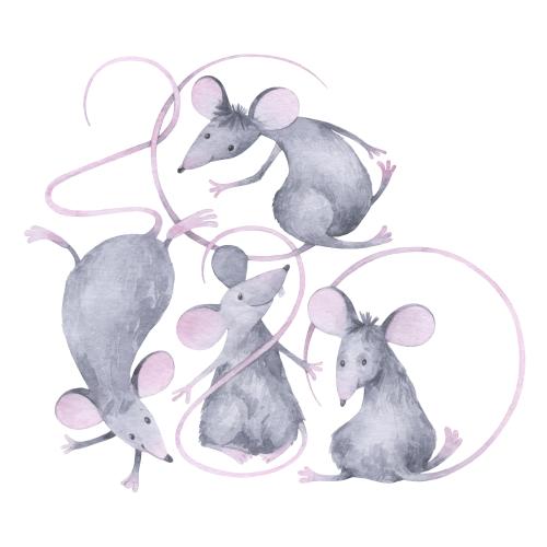 Rat. Vector cute cartoon watercolor rats on white