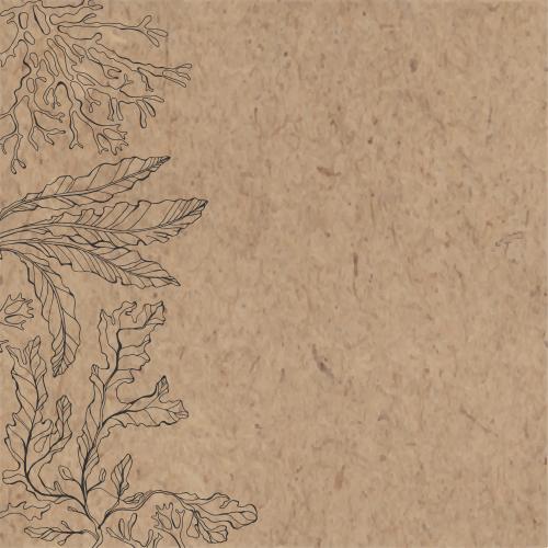 Illustration seaweed and corals, place for text on craft