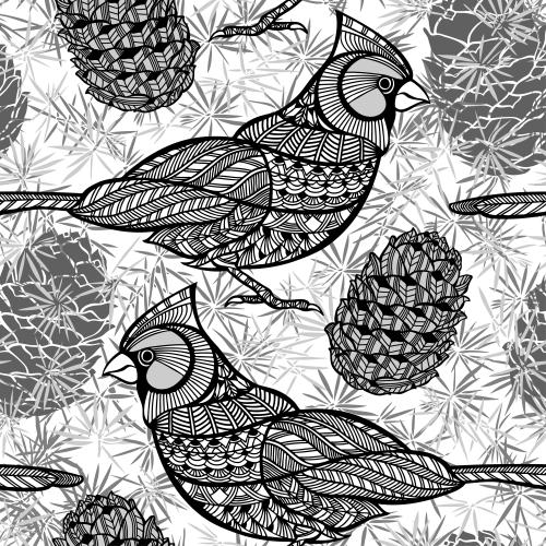 Black-white. Vector stylized cardinals, cones, coniferous twigs on white