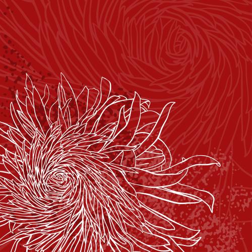 Chrysanthemum. Vector chrysanthemums on bright red