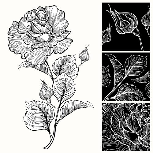 Rose. Vector rose and flower fragments in black squares