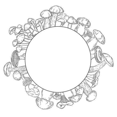 Vector image different mushrooms, round frame with space for text on white