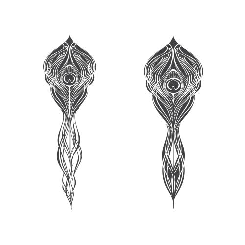 Feather. Vector stylized peacock feathers on white