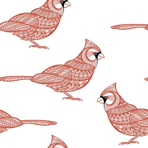 Northern cardinal. Vector stylized birds, red cardinals on white