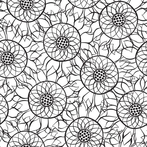 Sunflower. Vector sunflowers contours on white