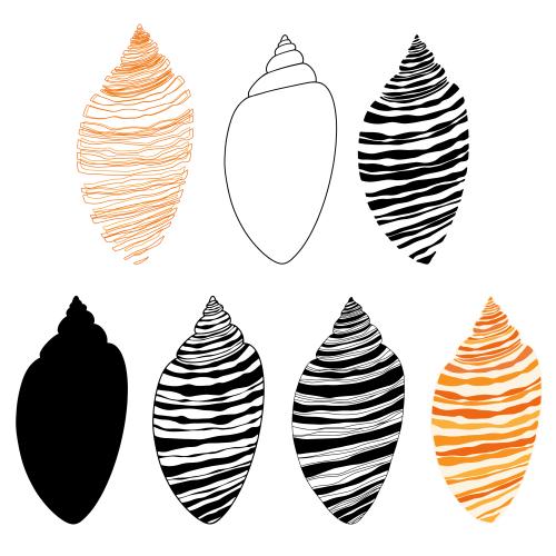 Illustration shells on white, seven options