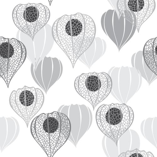 Vector image physalis monochrome silhouettes and lace contours on white