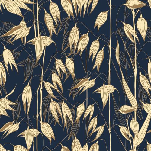 Oats. Vector oats ears on dark