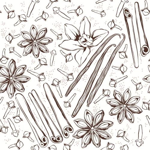Vanilla flower. Vector cinnamon sticks and vanilla, clove, anise, vanilla flower on white