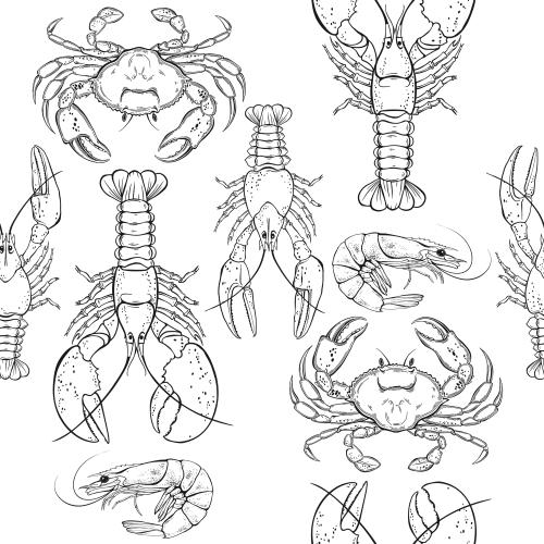 Crayfish. Vector crabs, lobsters, crayfish, shrimp, black outlines on white
