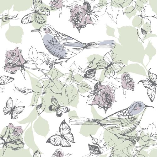 Rose. Vector birds on flowering pink bushes and butterflies, outlines and silhouettes on white