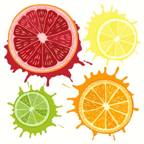 Orange. Vector grapefruit, orange, lime and lemon on juice splatters, isolated elements