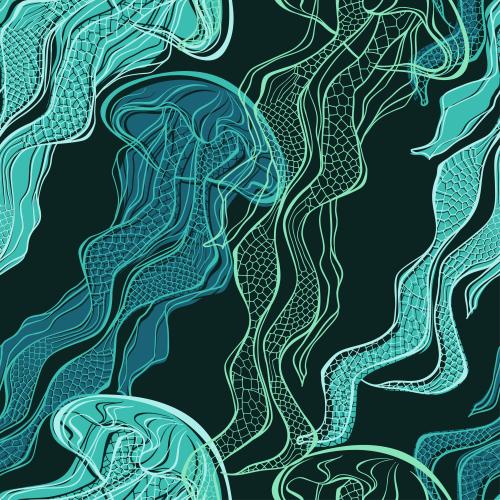 Jellyfish. Vector multicolored jellies on black