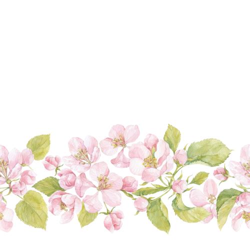 Illustration watercolor flowers and apple tree leaves, space for text on white