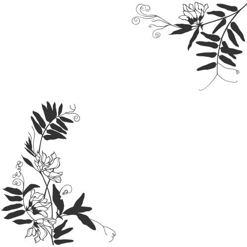 Vector image field flowers