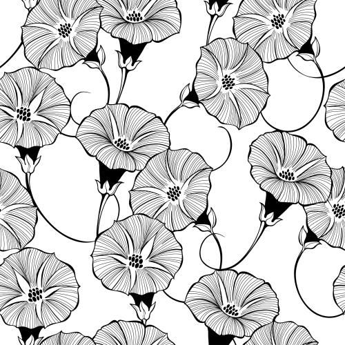 Bindweed. Vector morning glory flowers on white