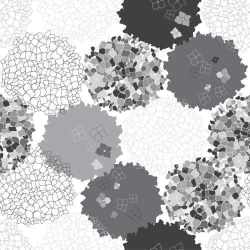 Floral. Vector silhouettes and contours of hydrangeas on white