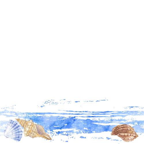 Illustration watercolor shells, waves, space for text on white