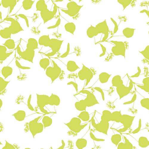 Linden. Vector flowering linden branches, colorful silhouettes on white