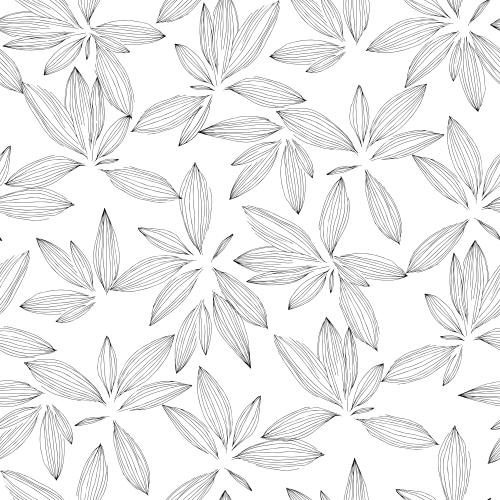 Vector image leaves, black outlines on white