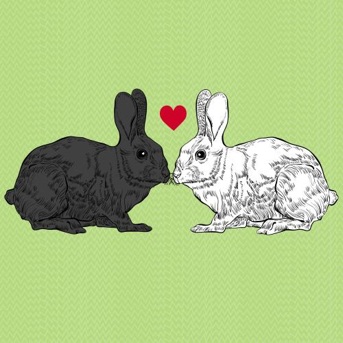 Rabbit. Vector lovers black and white rabbits on green grass