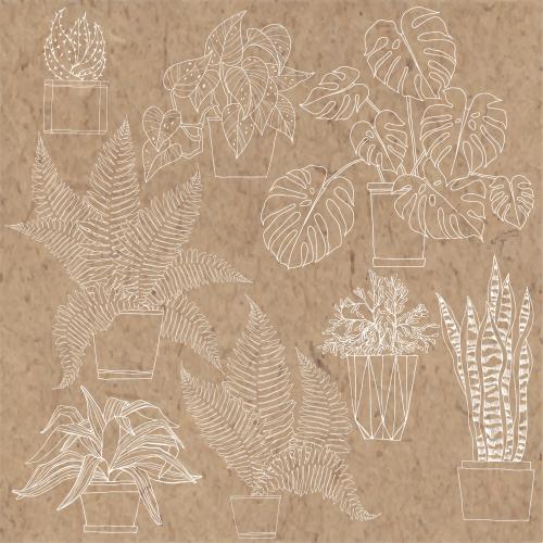 Cactus. Vector indoor plants in pots, various options on craft