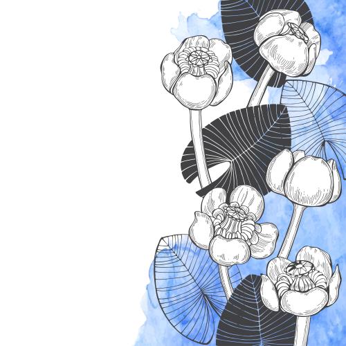Water lily. Vector water lilies and leaves blue watercolor fragment space for text on white