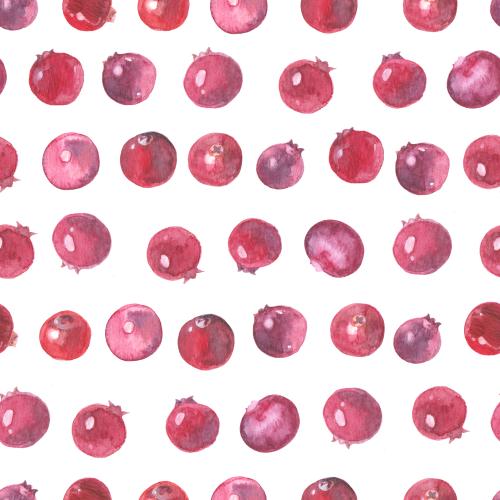 Raster image cranberry watercolor berries on white