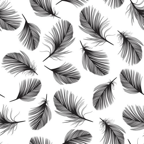 Feather. Vector black silhouettes of feathers on white
