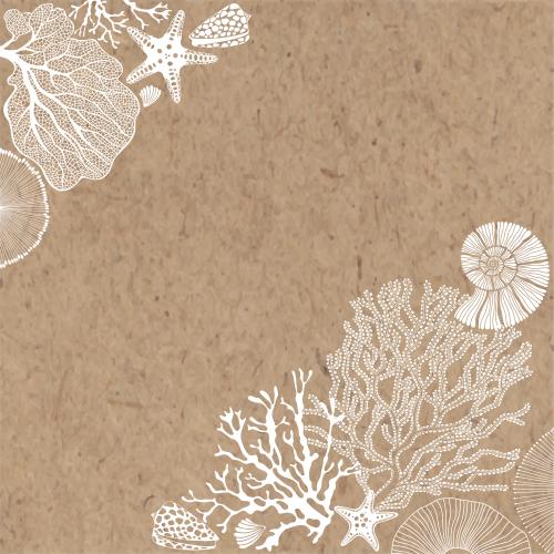 Vector image sea stars shells nautilus corals algae text area on craft corner composition