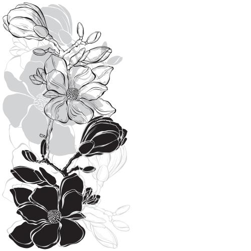 Bud. Vector magnolia monochrome outlines and silhouettes of flowers space for text on white