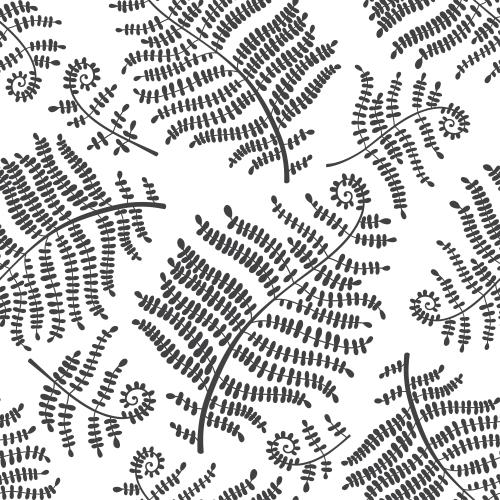 Fern. Vector fern leaves black silhouettes on white