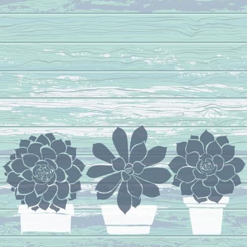 Tree. Vector succulents in pots on textured colored boards