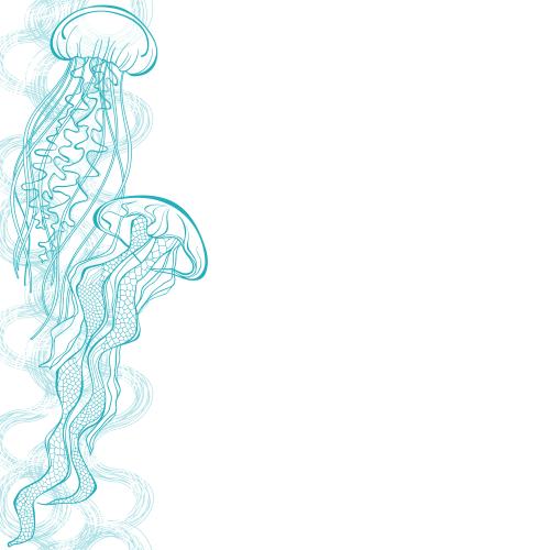 Jellyfish. Vector jellies decorative waves text space on white