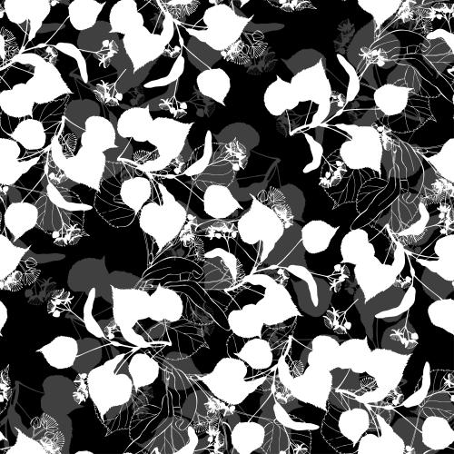 Linden. Vector lime, contours and silhouettes on black