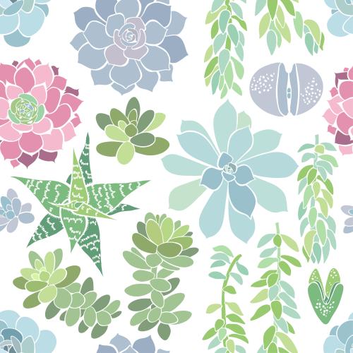 Succulent. Vector succulents colored silhouettes on white