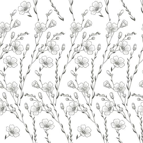 Flax. Vector flowering flax, contour design on white