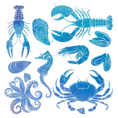 Crayfish. Vector sea horse
